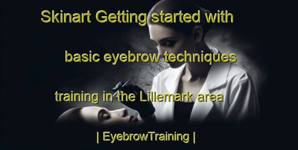 Skinart Getting started with basic eyebrow techniques training in the Lillemark area | EyebrowTraining | EyebrowClasses | SkinartTraining-Denmark